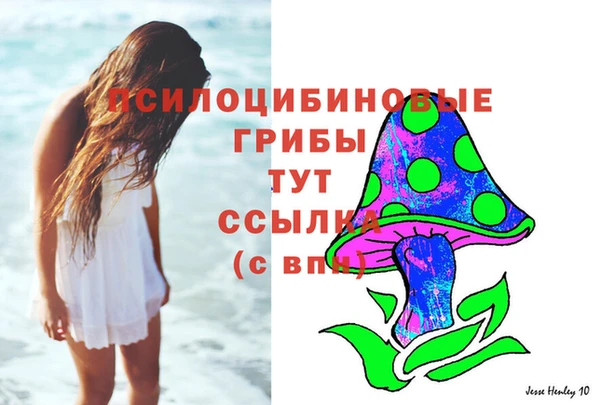 синтетический гашиш Алексеевка