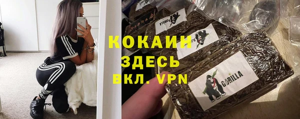 амф Алексин