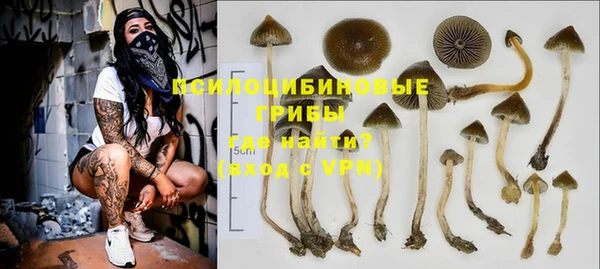 синтетический гашиш Алексеевка