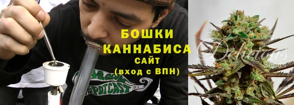 трава Алзамай