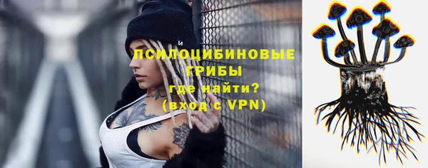 синтетический гашиш Алексеевка